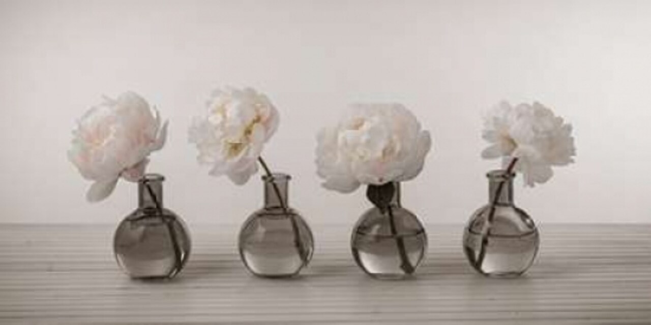Peonies in glass bottles Poster Print by Assaf Frank - Item # VARPDXFTBR1778